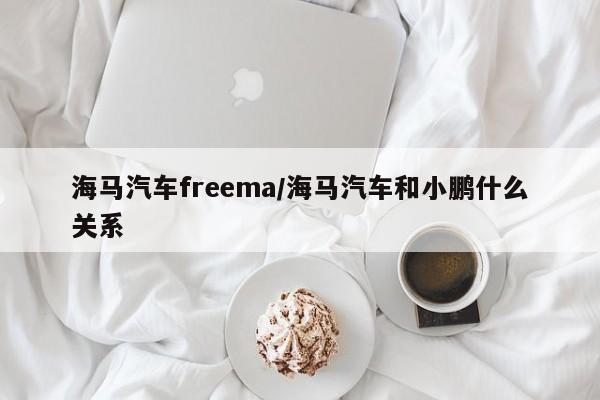 海马汽车freema/海马汽车和小鹏什么关系