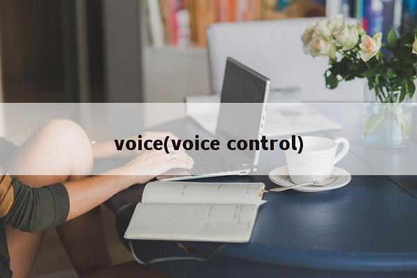 voice(voice control)