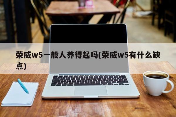 荣威w5一般人养得起吗(荣威w5有什么缺点)