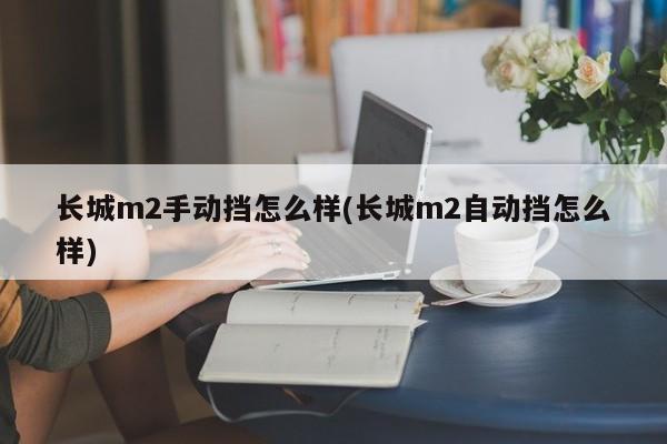 长城m2手动挡怎么样(长城m2自动挡怎么样)