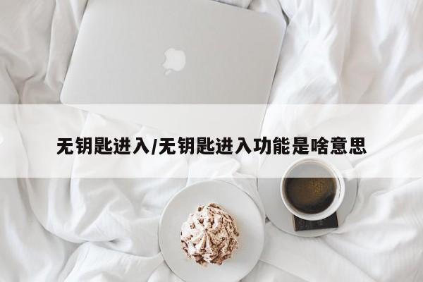 无钥匙进入/无钥匙进入功能是啥意思