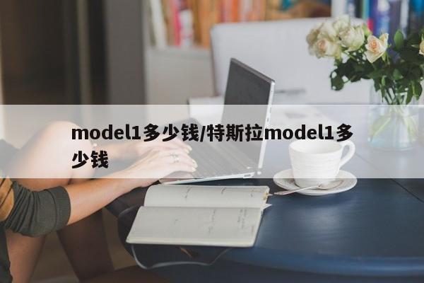 model1多少钱/特斯拉model1多少钱